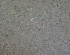 Exposed Aggregate Sample Photo 6