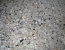 Exposed Aggregate Sample Photo 11